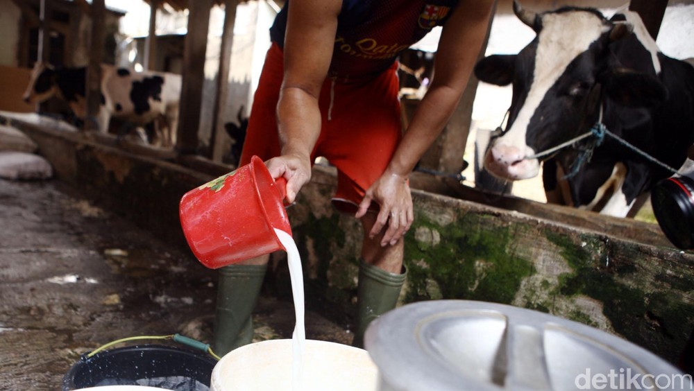 Kerja Sama Pertanian Indonesia-China: Langkah Menuju Swasembada dan Perluasan Pasar Ekspor Kerja Sama Pertanian Indonesia-China: Langkah Menuju Swasembada dan Perluasan Pasar Ekspor